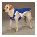 Guardian Gear Cool Pup Coat
