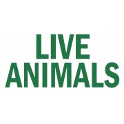 'Live Animals' Travel Sticker