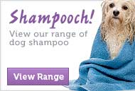 Shampooch