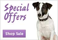 Special Offers