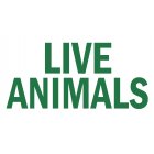 'Live Animals' Travel Sticker